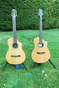 Line Variax Acoustic Guitars